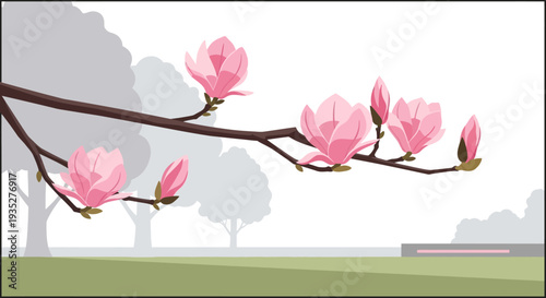 Elegant magnolia blossoms on branch in tranquil park setting