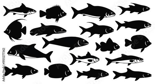 Fish Silhouettes Collection Ocean Life Marine Animals Set