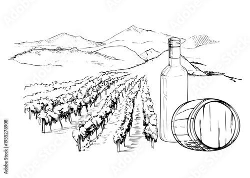 Rural vineyard plantation vista. Landscape with grapevines, distant hills, wine bottle and barrel closeup. Isolated ink vector illustration hand drawn for winery tourism branding, editorial design.