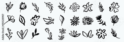 Set of flowers, leaves, floral stems. Primitive wild plants drawing with grunge brush. Black and white botanical elements. Vector illustration. Simple style plants