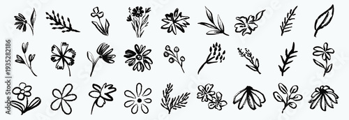 Set of flowers, leaves, floral stems. Primitive wild plants drawing with grunge brush. Black and white botanical elements. Vector illustration. Simple style plants