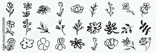 Set of flowers, leaves, floral stems. Primitive wild plants drawing with grunge brush. Black and white botanical elements. Vector illustration. Simple style plants