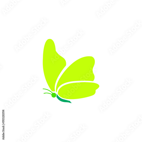 Beautiful Butterfly Icon