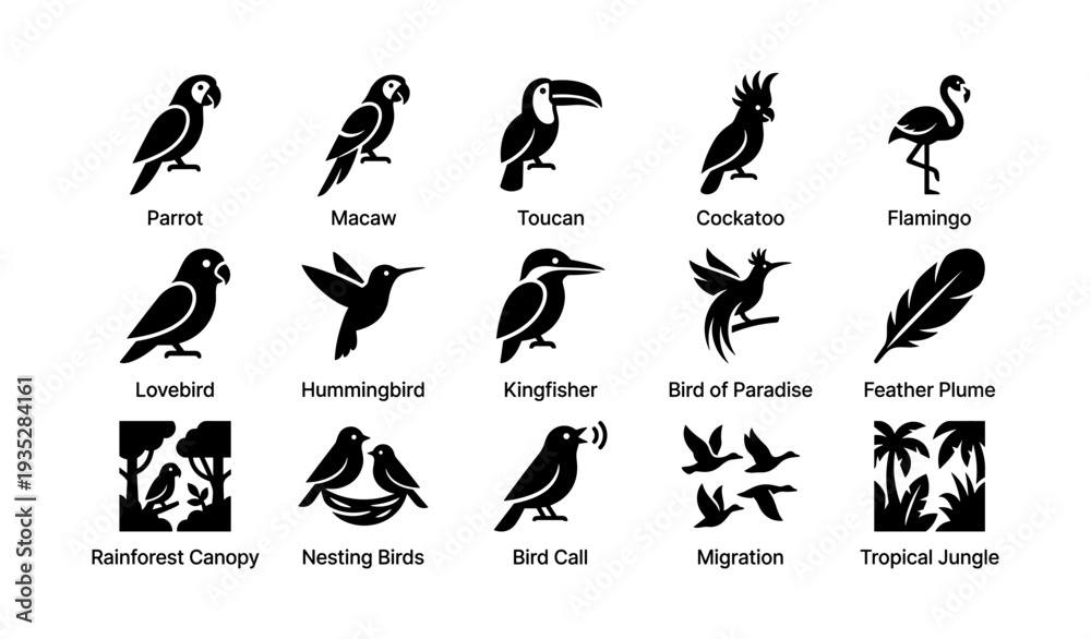 Obraz premium Diverse tropical birds and habitats silhouettes including parrot, flamingo, toucan, hummingbird