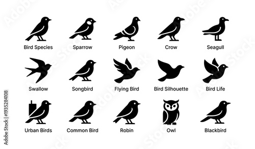 Silhouettes of various bird species including sparrow, pigeon, crow, seagull, and owl