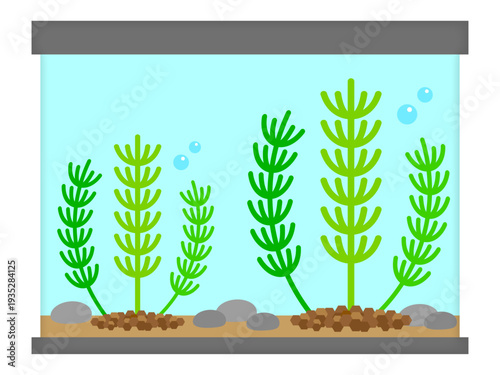 シンプルな水槽と水草のイラスト素材2