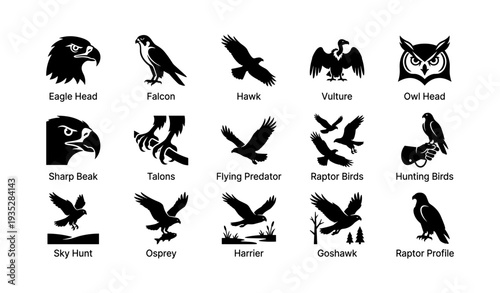 Silhouette icons of raptors: eagle, falcon, hawk, vulture, owl, osprey, harrier, goshawk