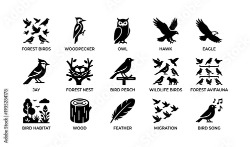Silhouette icons of forest birds and wildlife avifauna collection