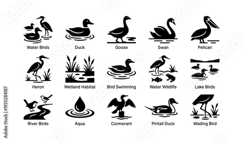 Silhouettes of water birds: duck, goose, swan, pelican, heron, and more