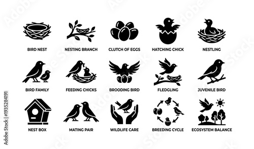 Bird nest icons: nesting, eggs, chicks, and wildlife care symbols