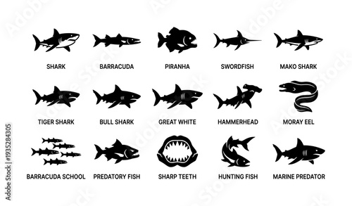Silhouettes of aquatic predators: sharks, swordfish, piranha, eel identification guide