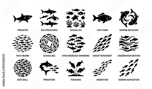 Silhouettes of ocean life and behavioral patterns