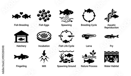 Fish breeding stages: from eggs to fry in aquatic habitats