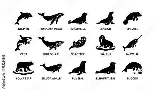 Silhouette illustrations of marine and arctic animals
