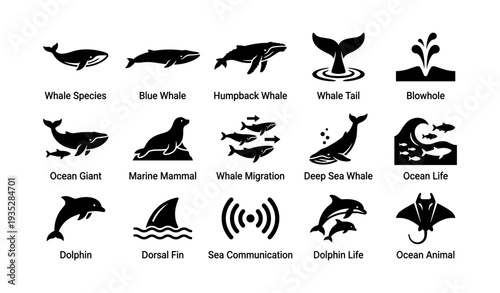 Marine icons set: whale, dolphin, seal, ocean life symbols for communication and migration