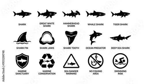 Shark icons: species, conservation, and swimming safety warnings