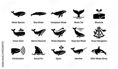 Icon set of whale species and ocean navigation symbols
