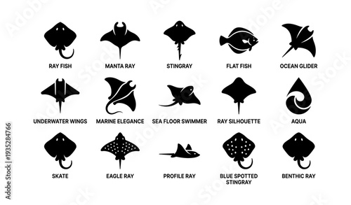 Silhouettes of rays: manta, stingray, eagle, skate, benthic, aqua symbols