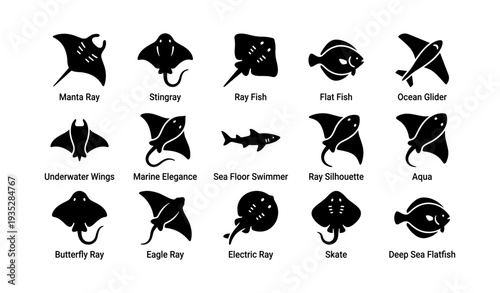 Diverse aquatic silhouettes: manta rays, stingrays, and more