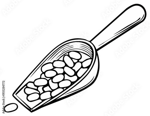 Wooden scoop filled with white beans, isolated on a white background, simple line art.