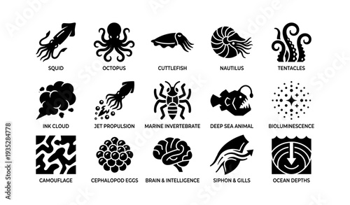 Marine invertebrates and adaptations icons: squid, octopus, cuttlefish, nautilus, tentacles