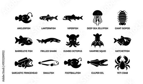 Silhouettes of deep-sea creatures including anglerfish and dumbo octopus