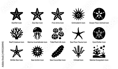 Assorted marine life icons featuring starfish, jellyfish, and coral designs