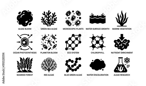 Marine ecosystem icons: algae bloom, chlorophyll, nutrient enrichment