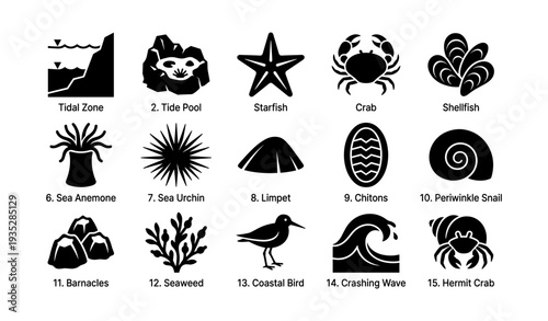 Marine life icons: tidal zone, starfish, crab, shellfish, sea urchin, coastal bird
