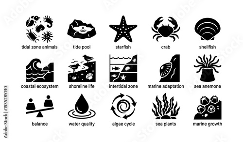 Marine ecosystem icons: tidal zone animals and coastal life
