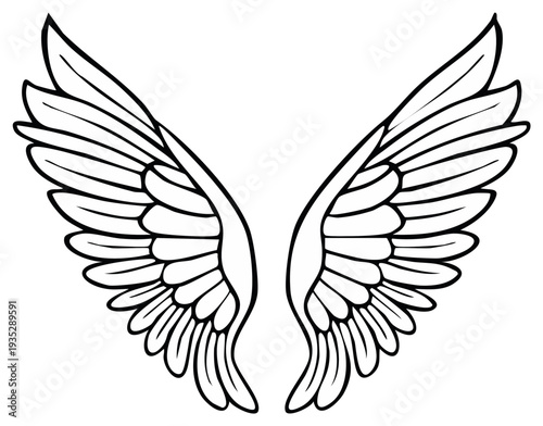 Illustration of stylized wings with feathered details, graphic design element.