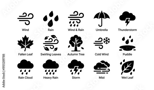 Weather icons set: umbrella, thunderstorm, autumn leaves, wind, rain, snowflake