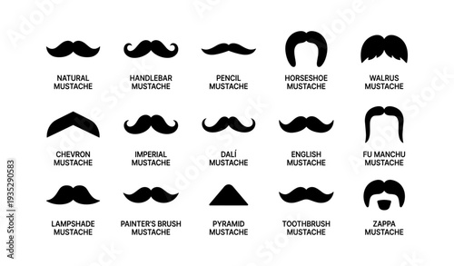 Various mustache styles grid with labels