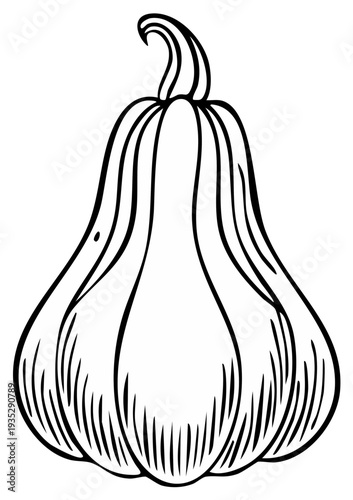 Hand drawn sketch of a distinctive gourd with vertical ribs and a curved stem