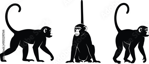 Black monkey silhouettes set featuring primates in various poses including walking and sitting for wildlife, nature, and animal conservation concepts.