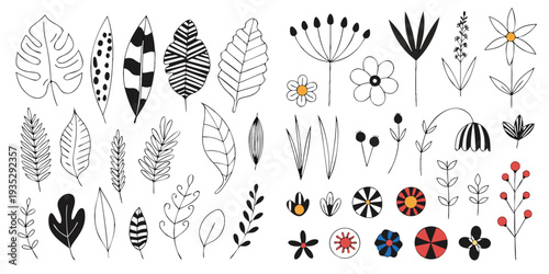 Diverse Hand- Drawn Botanical and Floral Elements with Color Accents leaf plant