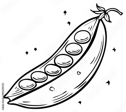 Hand drawn outline of a single fresh pea pod with multiple seeds inside and small sparkle elements