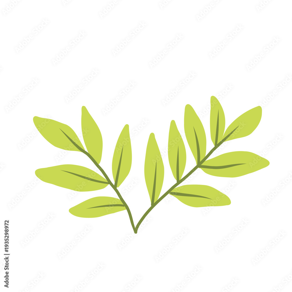 Obraz premium Vector illustration of green leaves isolated on white