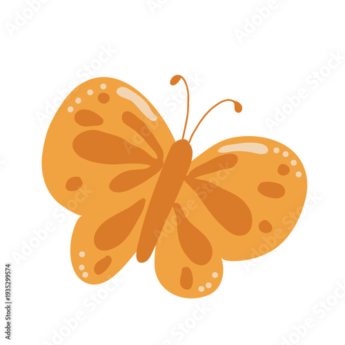 Vector illustration of butterfly on white background.