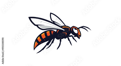 An orange and black wasp with white wings on a white background.