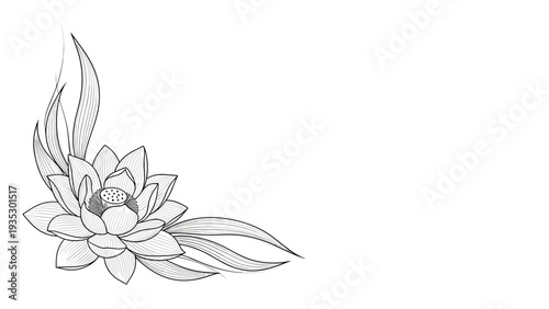 Detailed line art drawing of a blooming lotus flower with long flowing leaves, suitable for elegant and serene graphic design compositions.