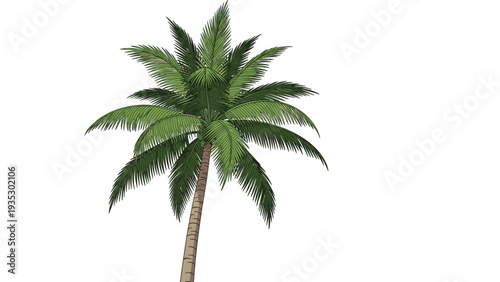 Isolated palm tree illustration with detailed green fronds and a tall trunk creates a tropical summer atmosphere for vacation or travel designs.