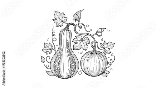 Intricate line art illustration of two pumpkins with winding vines and large leaves provides a classic autumn harvest theme for coloring or cards.