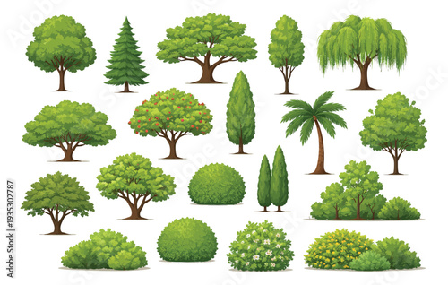 Illustrative cartoon trees and bushes set featuring various deciduous, evergreen, and flowering plants for nature landscape design