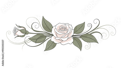Elegant pink rose flower with a matching bud and soft green leaves is embellished with graceful curly flourishes for a romantic floral design.