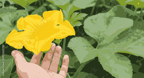 A gentle hand delicately touches a vibrant yellow squash blossom, highlighting the beauty of nature and the organic growth within a lush green garden environment.