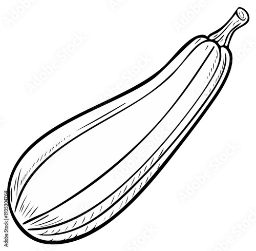 Outlined illustration of a zucchini vegetable with stem and shaded details, isolated.