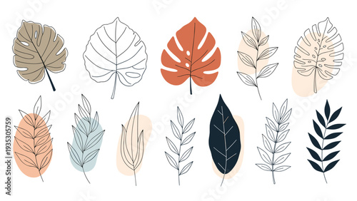 Assorted tropical leaves and foliage in various styles and colors including monstera and fern on a white background for creative projects.