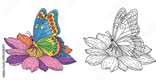 Colorful Butterfly on a Flower Illustration with Black and White Outline for Coloring Book Vector