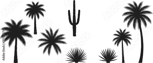 Palm, Cactus, Tropical, Silhouette, Tree, Desert, Nature, Summer, Exotic, Jungle, Plant, Botanical, Island, Beach, Oasis, Landscape, Black, Outline, Vector, Collection